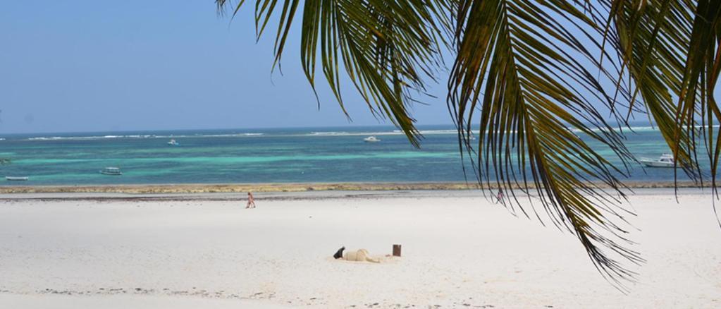 Apartmenthaus Salama Villen In Diani ディアニ・ビーチ エクステリア 写真